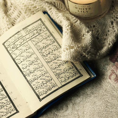 arabic-studies
